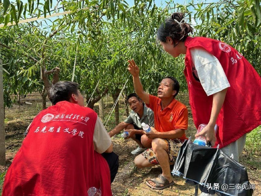 西安区审计局最新项目深度解析，西安区审计局最新项目深度解读报告