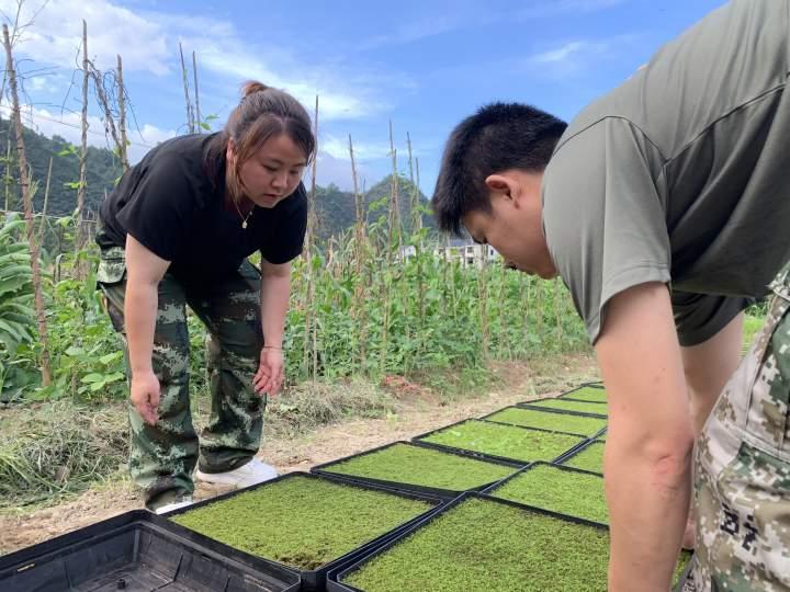 景宁畲族自治县人力资源和社会保障局最新招聘信息，景宁畲族自治县人力资源和社会保障局最新招聘启事