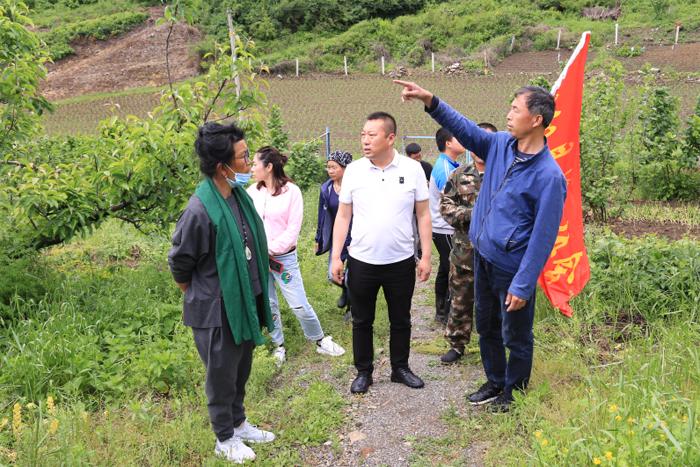 河栏镇最新项目，引领地区发展的璀璨明珠，河栏镇新项目，引领地区发展的璀璨明珠之光