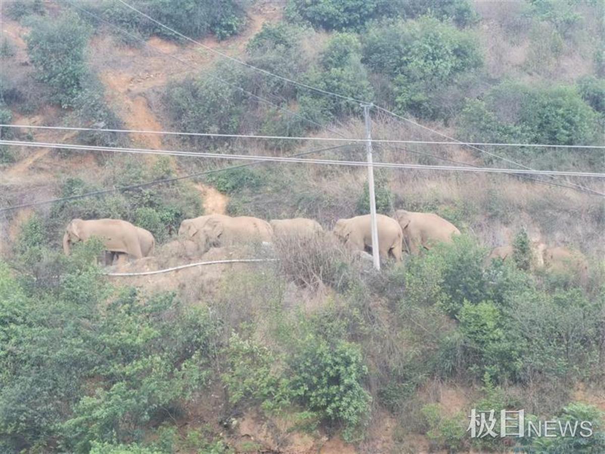 峨山乡最新新闻报道，峨山乡最新新闻速递