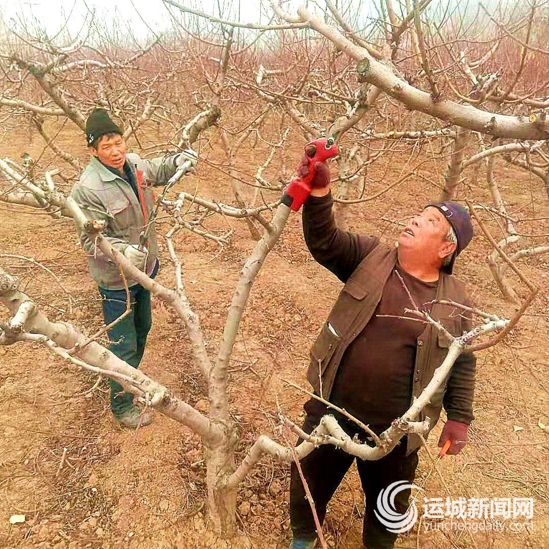 山西省运城市夏县尉郭乡最新新闻探索，山西省运城市夏县尉郭乡最新新闻探索报道