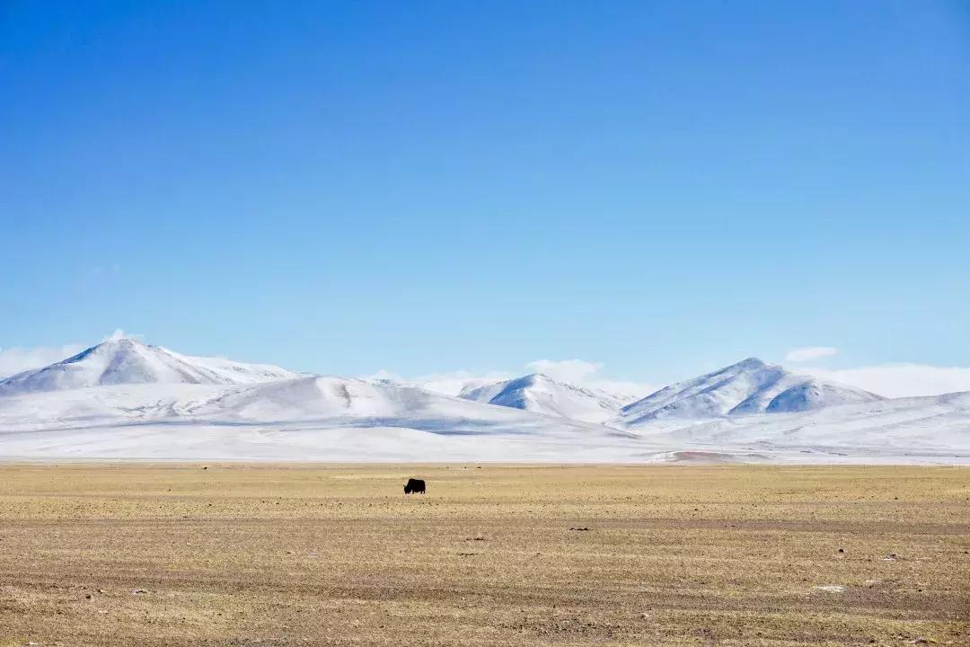 措勤县最新项目，引领地区发展的强大动力，措勤县新项目引领地区发展强大动力之源