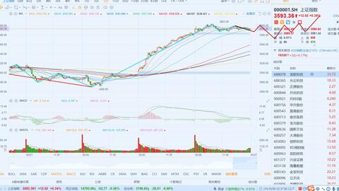 2025澳门特马今晚开奖165,2025年澳门特马今晚开奖165号码揭晓分析