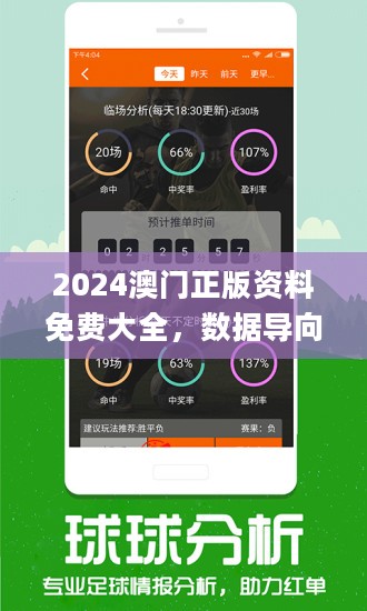 2025年澳门正版免费资料／2025年澳门正版免费资料全面解析与获取指南