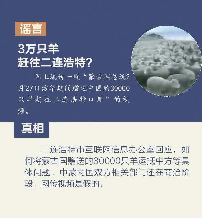 蓝月亮料免费资料五肖,蓝月亮料免费资料五肖大揭秘：精准预测与独家解析