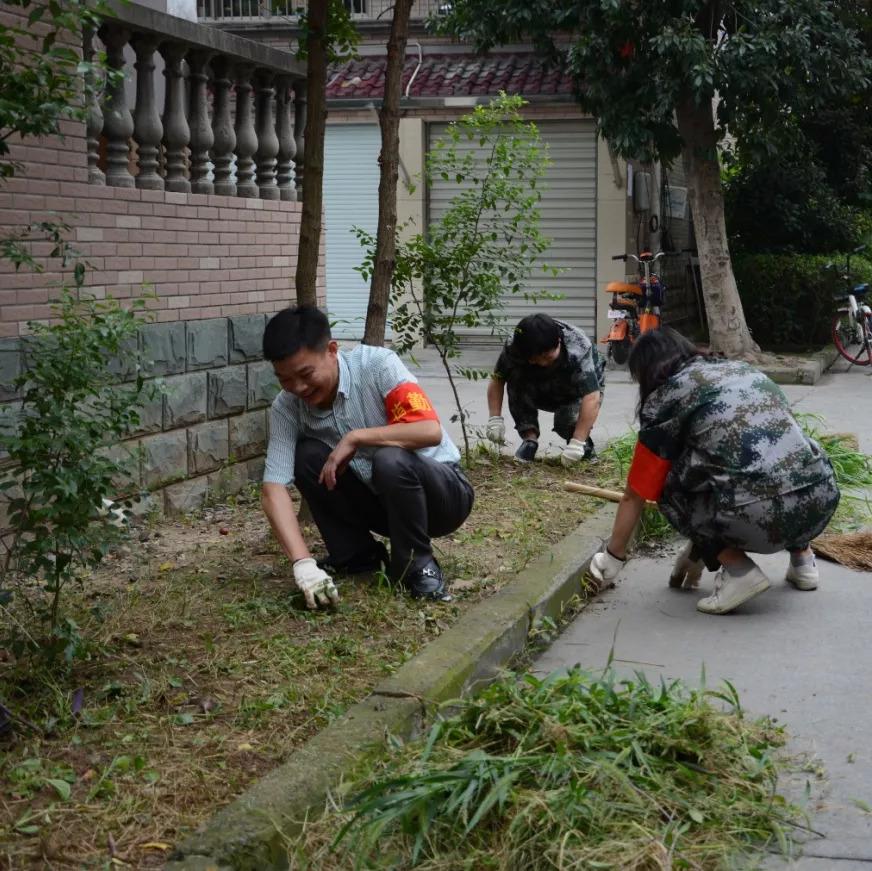 富春街道新任领导团队，引领未来发展的新力量，富春街道新任领导团队，引领未来发展的崭新力量