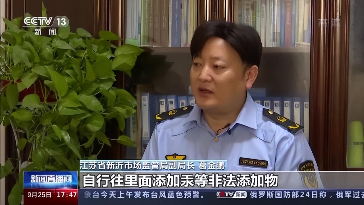 新沂房屋出租最新消息，全面解读市场现状与优质房源推荐，新沂房屋出租最新消息，市场现状解读与优质房源推荐